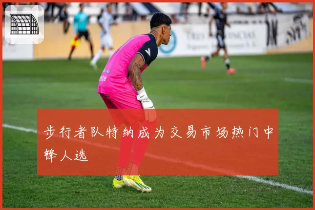 步行者队特纳成为交易市场热门中锋人选