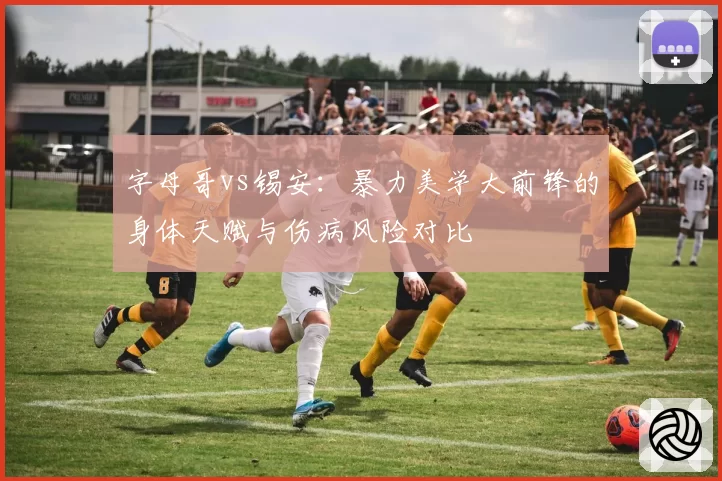 字母哥vs锡安：暴力美学大前锋的身体天赋与伤病风险对比